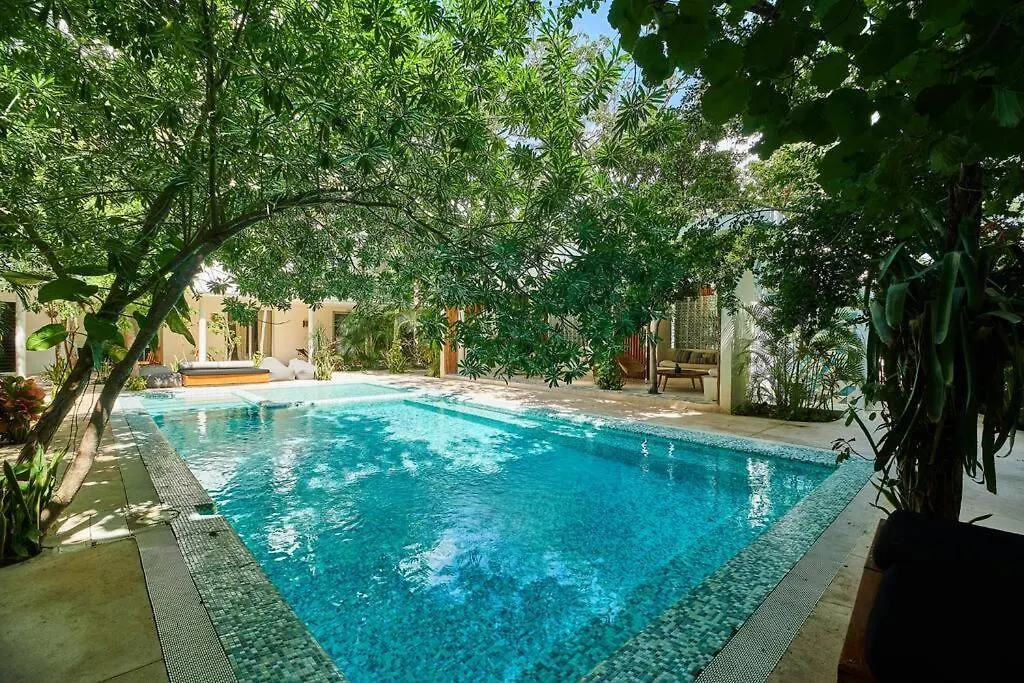 Carmela 101 Comfy&Cozy 2Br Apt With Best Location Tulum Pueblo 0*,